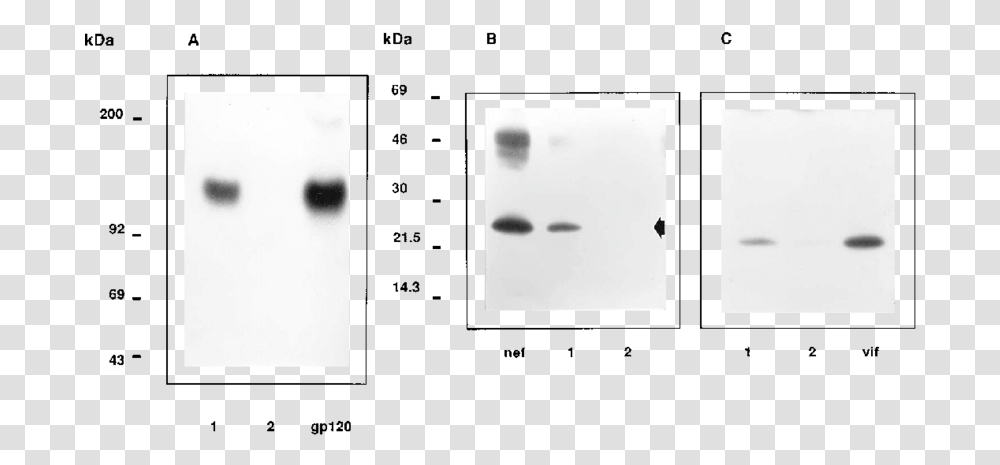 Monochrome, Footprint Transparent Png