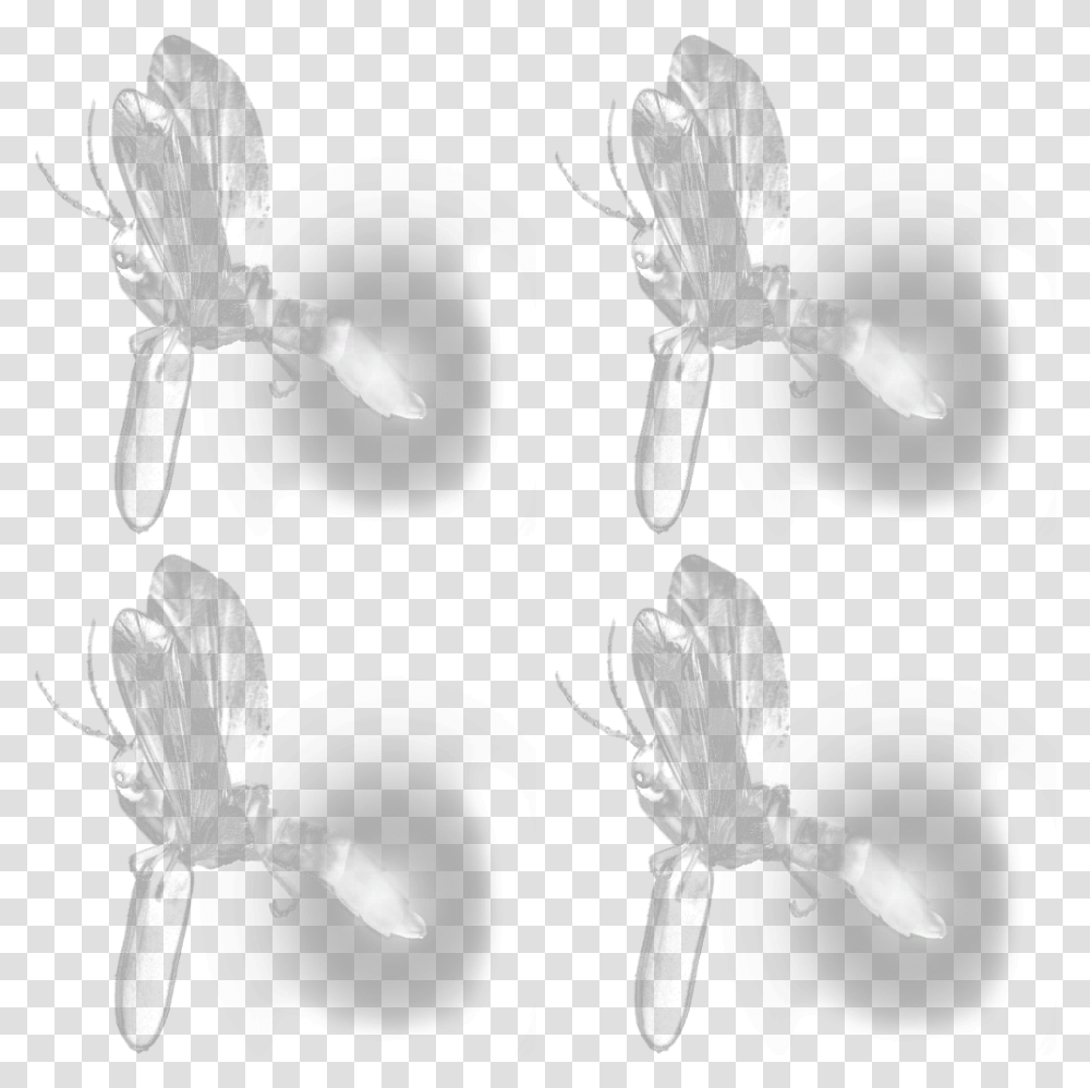 Monochrome, Insect, Invertebrate, Animal, Fly Transparent Png