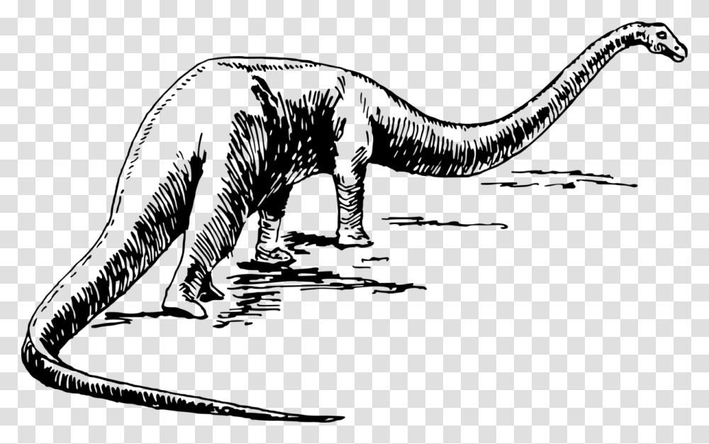 Monochrome Like Mammal Black And White Dinosaur Vectors, Gray, World Of Warcraft Transparent Png