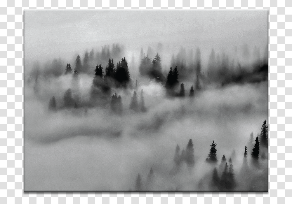 Monochrome, Nature, Weather, Outdoors, Fog Transparent Png
