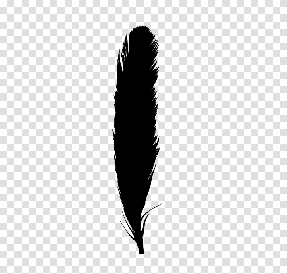 Monochrome Photography Feather Quill, Gray, World Of Warcraft Transparent Png