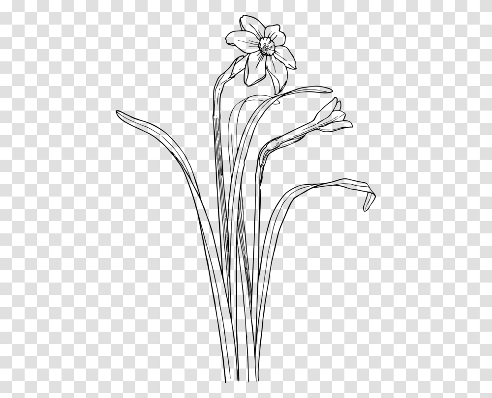 Monochrome Photographypetalgrass Family Plant Draw Flower Bush, Gray, World Of Warcraft Transparent Png