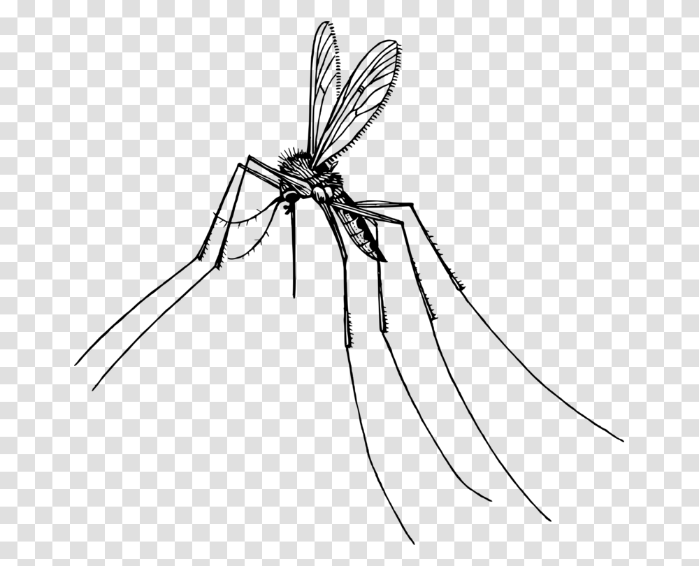 Monochrome Photographytreeartwork Background Mosquito Clipart, Gray, World Of Warcraft Transparent Png