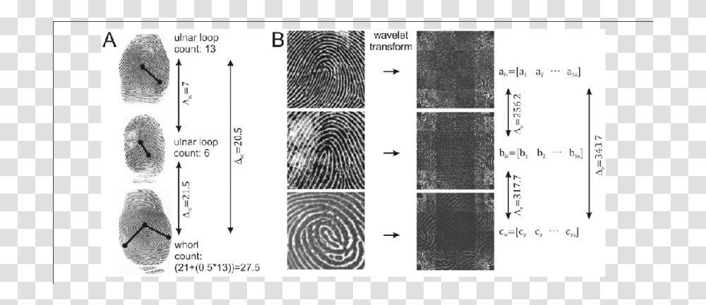 Monochrome, Plot, Diagram, Number Transparent Png