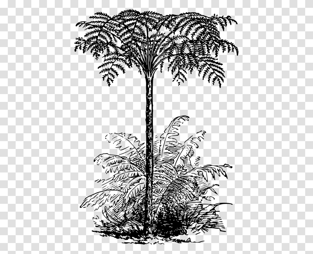 Monochrome Silver Fern Tree Drawing, Gray, World Of Warcraft Transparent Png