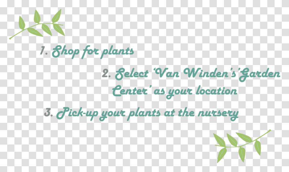 Monrovia How To Calligraphy, Plant, Outdoors Transparent Png