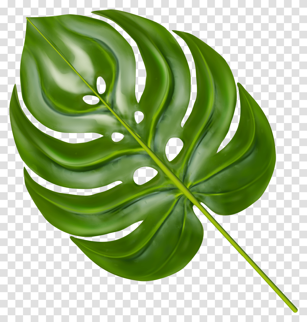Monstera Leaf Clipart Background Monstera Leaf Transparent Png
