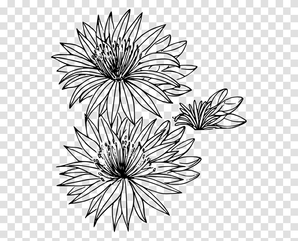 Montana Bitterroot State Flowers Drawing, Gray, World Of Warcraft Transparent Png
