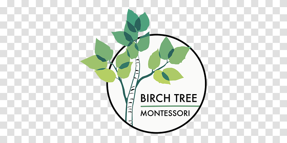 Montessori Birch Tree United States Green Team, Plant, Text, Leaf, Flower Transparent Png