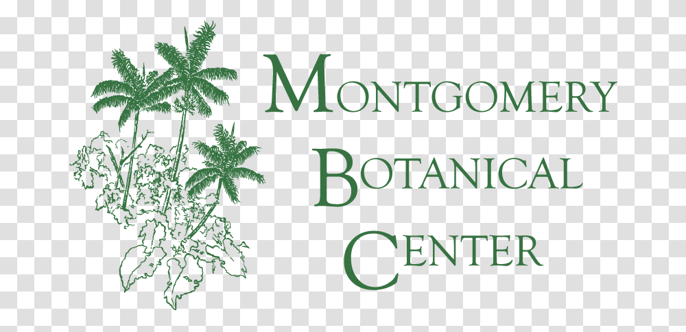 Montgomery Botanical Center, Leaf, Plant, Weed, Poster Transparent Png
