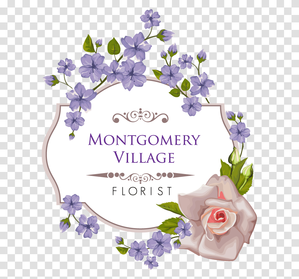 Montgomery Village Florist Inc Garden Roses, Envelope, Mail, Greeting Card, Plant Transparent Png