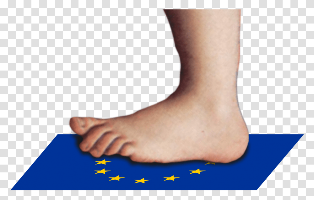Monty Python Foot, Ankle, Person, Human, Toe Transparent Png