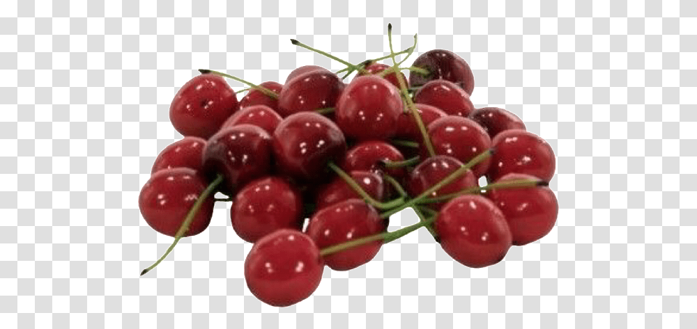 Mood Board, Plant, Fruit, Food, Cherry Transparent Png