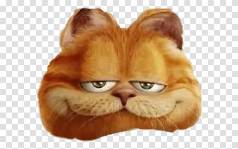Mood Dank Meme Dankmeme Memes Memethisnow Memegangcom Garfield Movie Hd, Face, Mustache, Pet, Animal Transparent Png