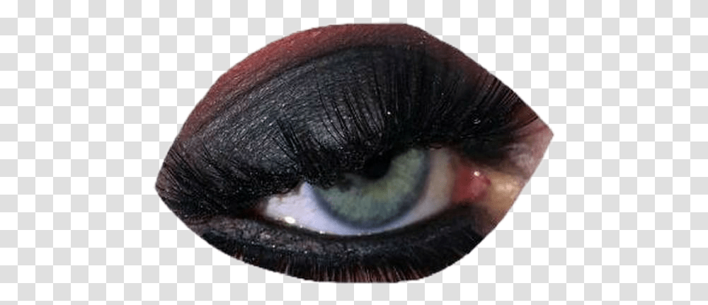 Moodboard Eye Filler Eye Shadow, Cosmetics, Person, Human, Mascara Transparent Png