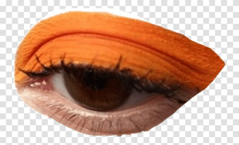 Moodboard Filler Eye Makeup Interesting Niche Meme Makeup Orange Eyeliner, Mascara, Cosmetics, Contact Lens, Skin Transparent Png