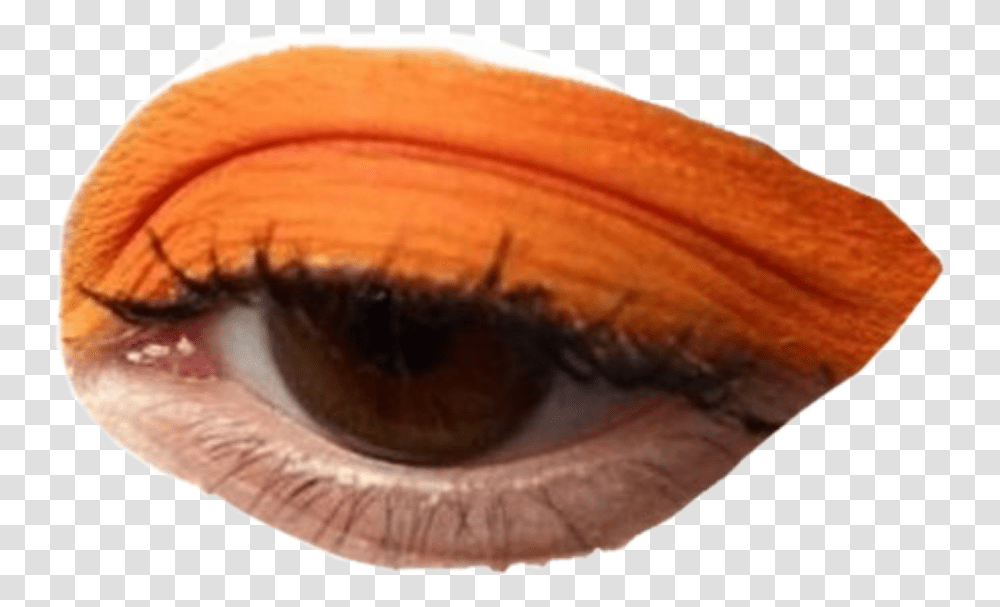 Moodboard Filler Eye Makeup Interesting Niche Orange Eye Look, Mascara, Cosmetics, Contact Lens, Photography Transparent Png