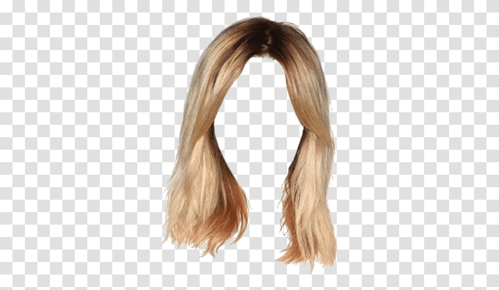 Moodboard Niche Aesthetic Hair Haircut Straight Blonde Hair Aesthetic, Bird, Animal, Wig, Person Transparent Png