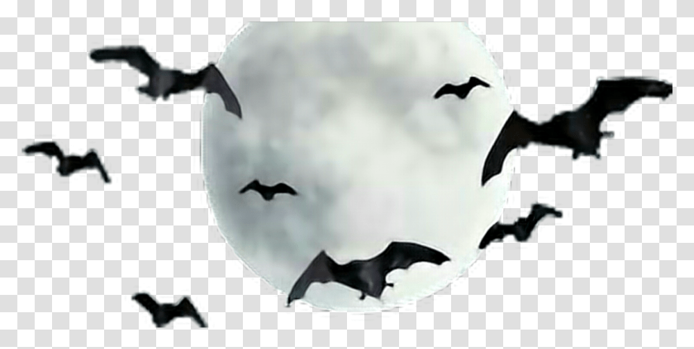 Moon Bats Freetoedit Moon With Bats, Bird, Animal, Mammal, Wildlife Transparent Png