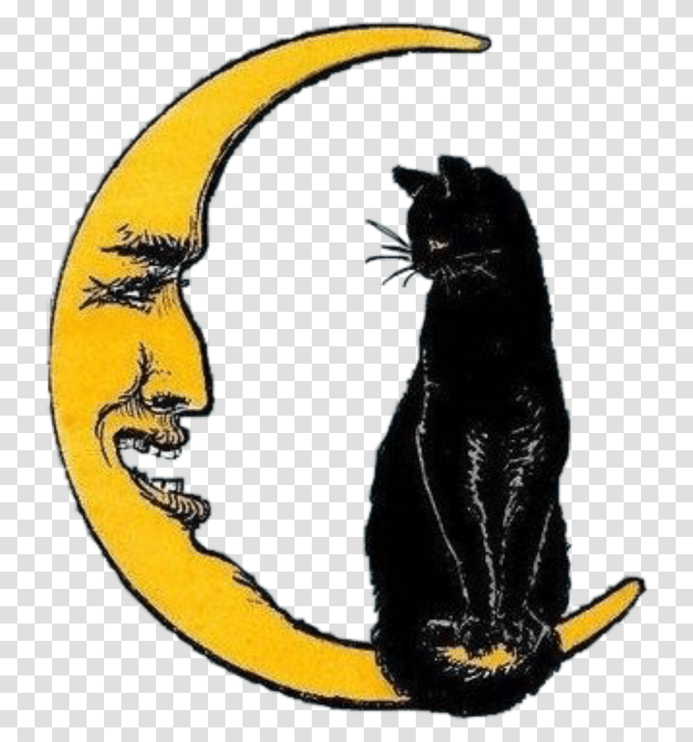 Moon Cat Halloween Vintage Aesthetic Witch And Cat Vintage Halloween Cat Clipart, Mammal, Animal, Symbol, Painting Transparent Png