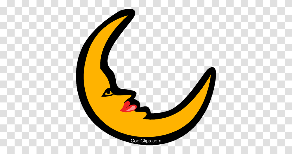 Moon Half Moon Royalty Free Vector Clip Art Illustration, Animal, Bird, Mustache, Penguin Transparent Png