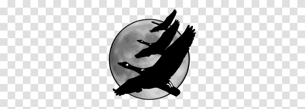 Moon Images Icon Cliparts, Outdoors, Nature, Astronomy, Bird Transparent Png