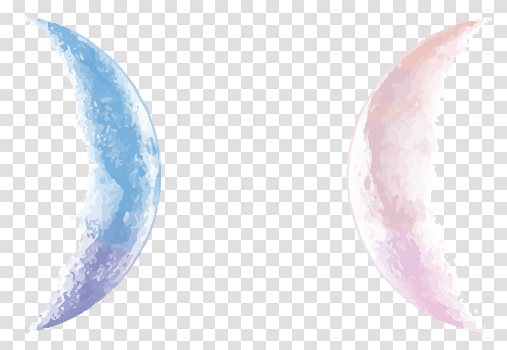 Moon, Nature, Outdoors, Outer Space, Astronomy Transparent Png