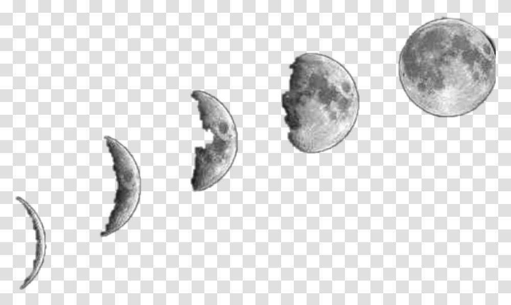 Moon Phases Moon, Nature, Outdoors, Lunar Eclipse, Astronomy Transparent Png