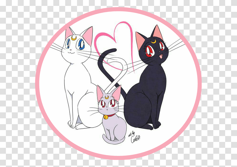Moon Sailor Moon Luna Y Artemis, Pet, Animal, Cat, Mammal Transparent Png