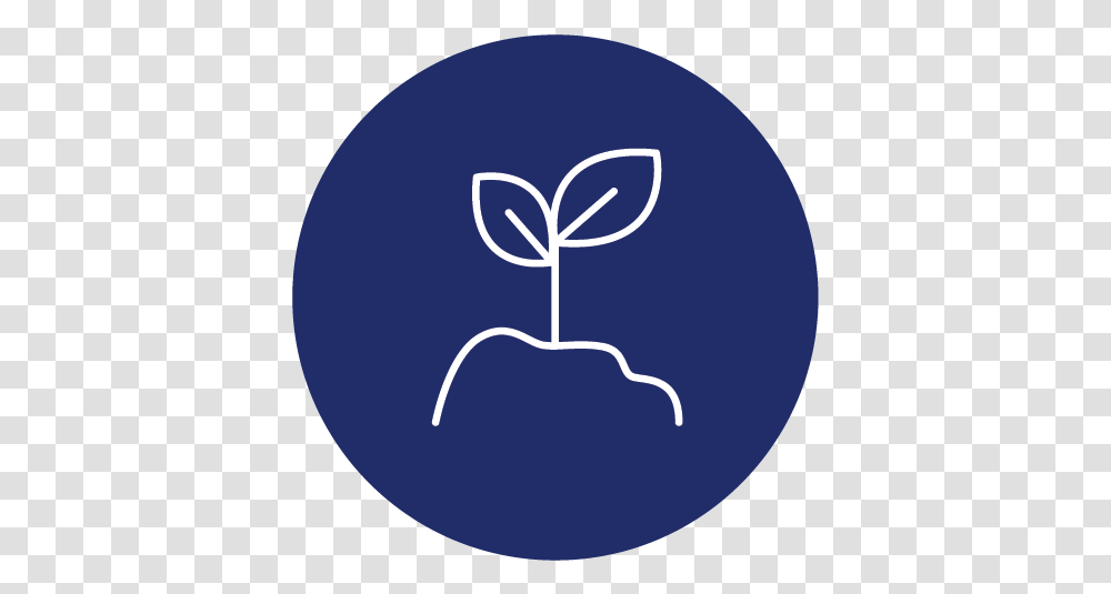 Moondarra Blueberries Producers Of The Finest Certified, Light, Nature, Hand, Gray Transparent Png