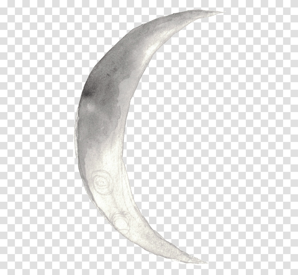 Moonphase 7 Body Jewelry, Person, Human, Hip, Mouth Transparent Png
