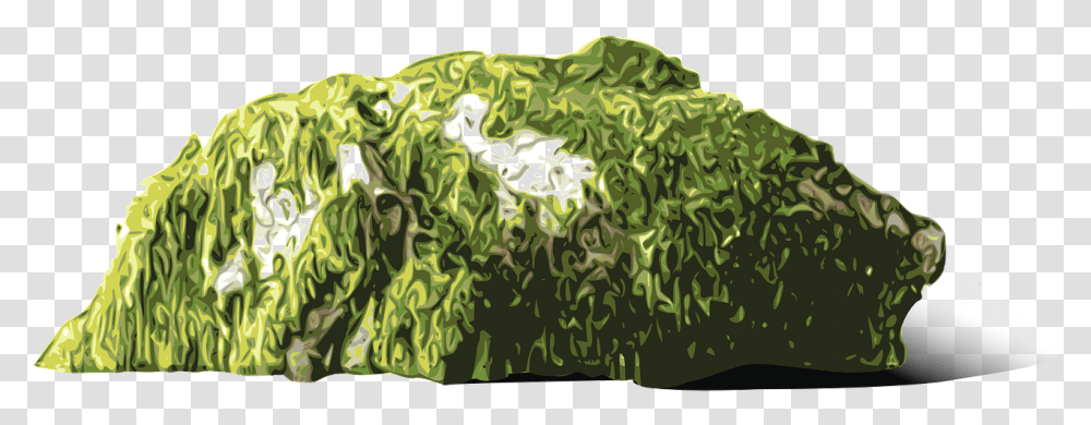 Moos Clipart, Green, Plant, Vegetation Transparent Png