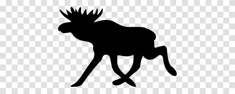 Moose Nature, Gray, World Of Warcraft Transparent Png