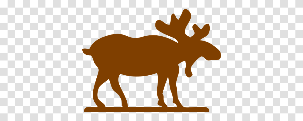 Moose Nature, Animal, Mammal, Wildlife Transparent Png