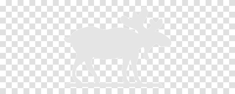 Moose Nature, Mammal, Animal, Wildlife Transparent Png