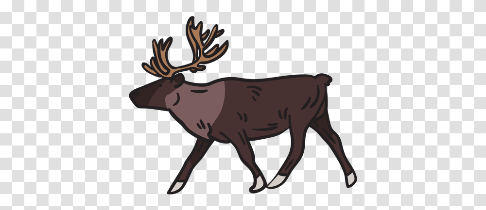 Moose Animal Antlers Illustration & Svg Elk, Wildlife, Mammal, Horse, Deer Transparent Png