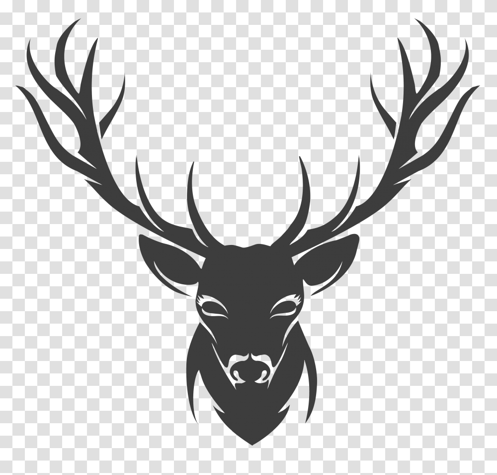 Moose, Animals, Elk, Deer, Wildlife Transparent Png