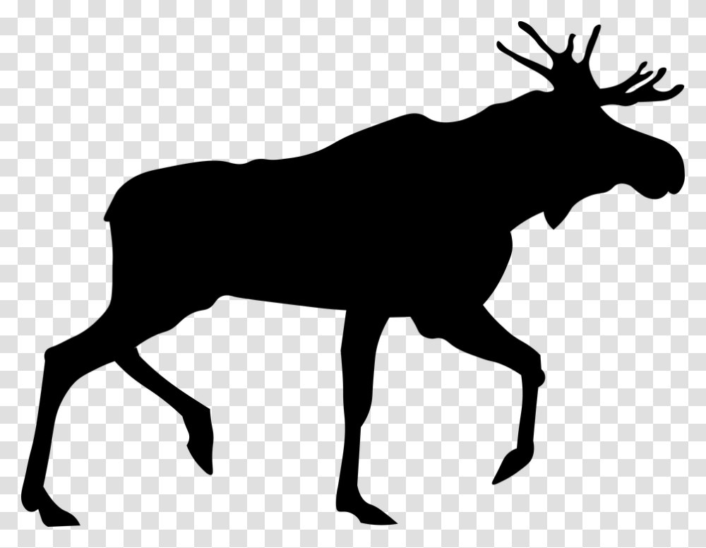 Moose, Animals, Gray, World Of Warcraft Transparent Png