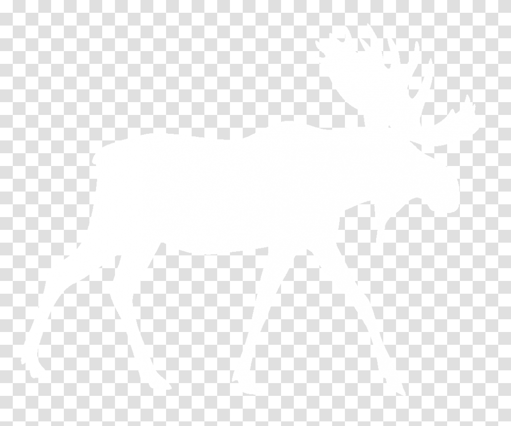 Moose, Animals, Mammal, Wildlife, Deer Transparent Png