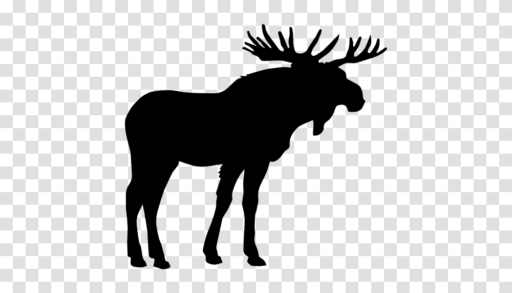Moose, Animals, Silhouette, Mammal, Horse Transparent Png