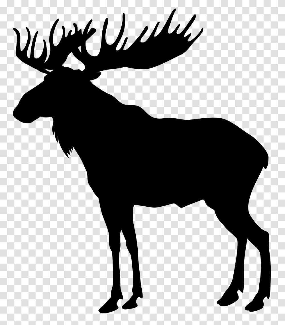 Moose, Animals, Cross Transparent Png