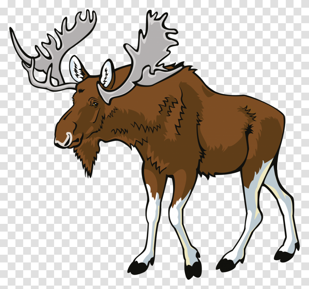 Moose, Animals, Wildlife, Mammal, Cow Transparent Png