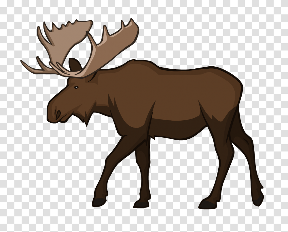 Moose, Animals, Wildlife, Mammal, Horse Transparent Png