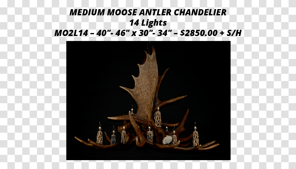 Moose Antler Chandeliers Deer Transparent Png