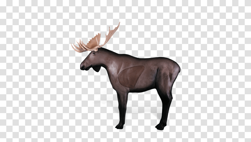 Moose Archery Target Rinehart Archery Targets, Wildlife, Animal, Antelope, Mammal Transparent Png