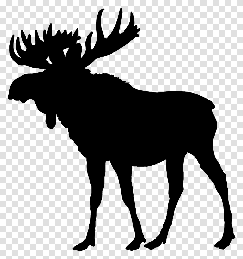Moose Background Free Moose Silhouette, Outdoors, Nature, Person, Outer Space Transparent Png
