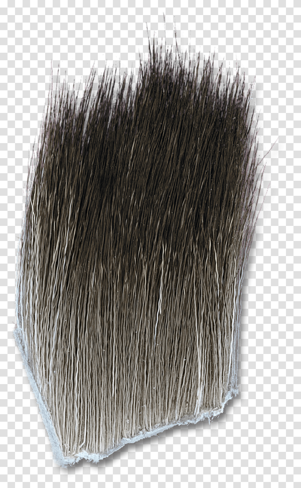 Moose Body Hair Grass, Beak, Bird, Animal, Brush Transparent Png