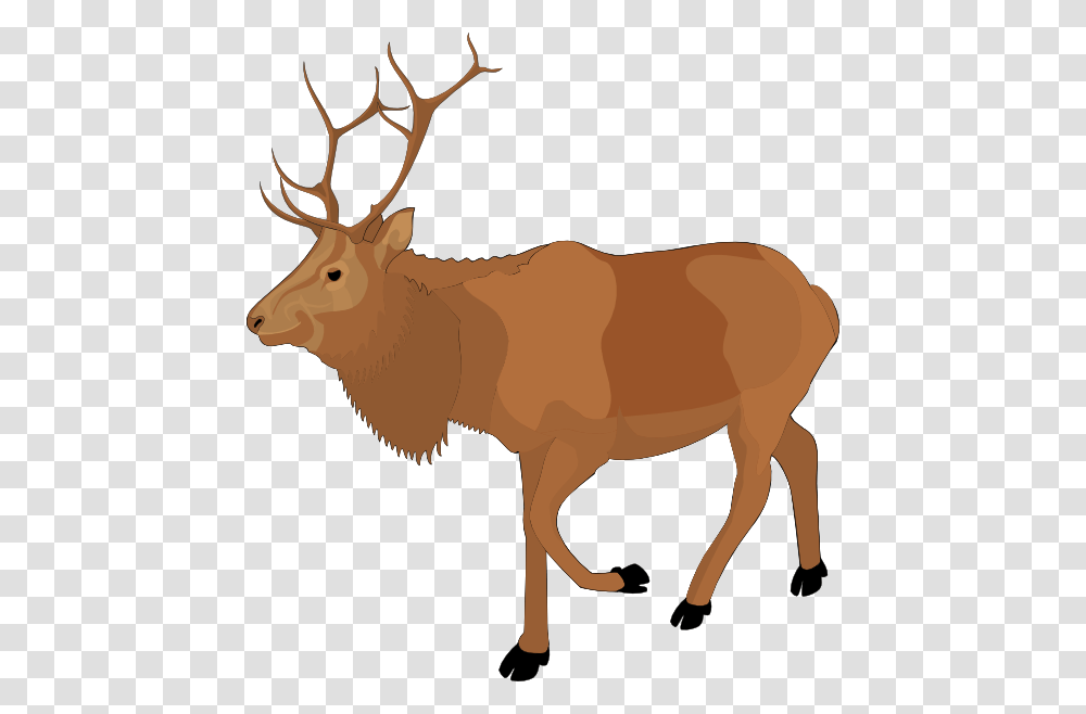 Moose Clip Art Pictures, Elk, Deer, Wildlife, Mammal Transparent Png