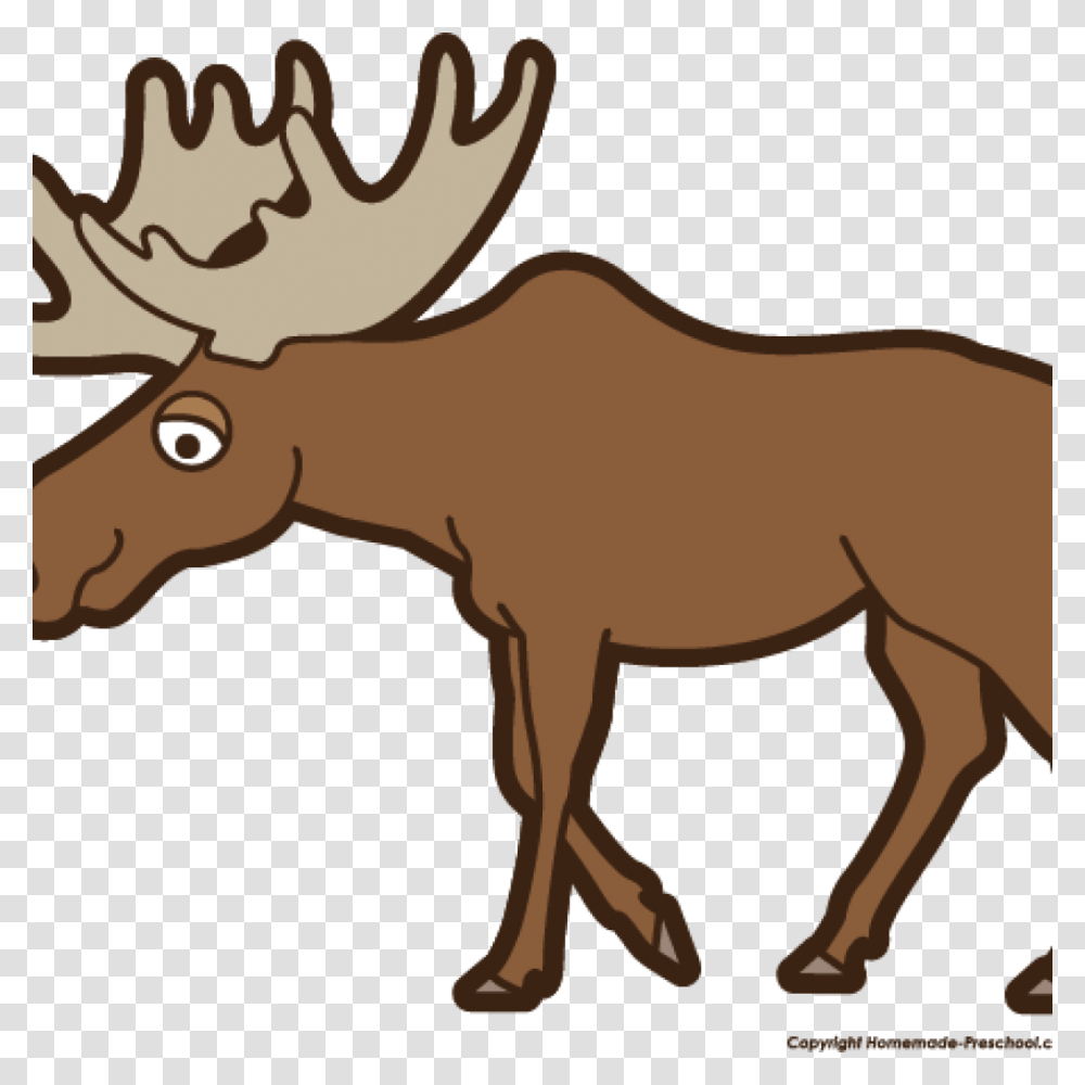 Moose Clipart Angry Free Money, Wildlife, Animal, Horse, Mammal Transparent Png