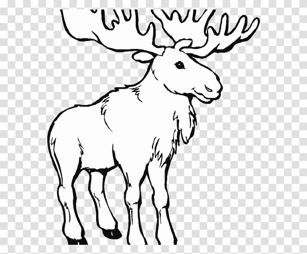 Moose Clipart Black And White Maine Moose Coloring Page, Mammal, Animal, Wildlife, Deer Transparent Png